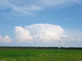 Mezőkövesd