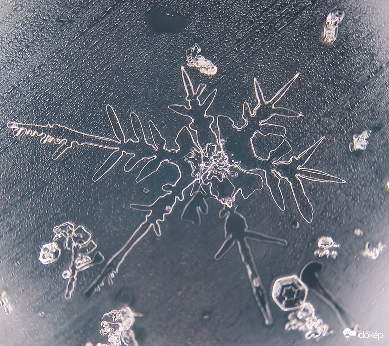 Vízcseppé változó hópihe