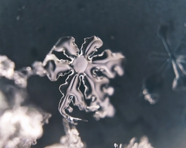 Vízcseppé változó hópihe