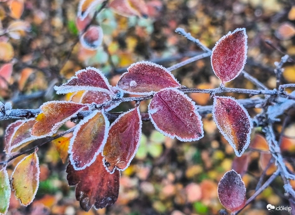 Ősz és tél egy fotón 