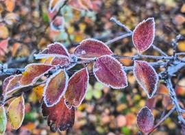 Ősz és tél egy fotón 