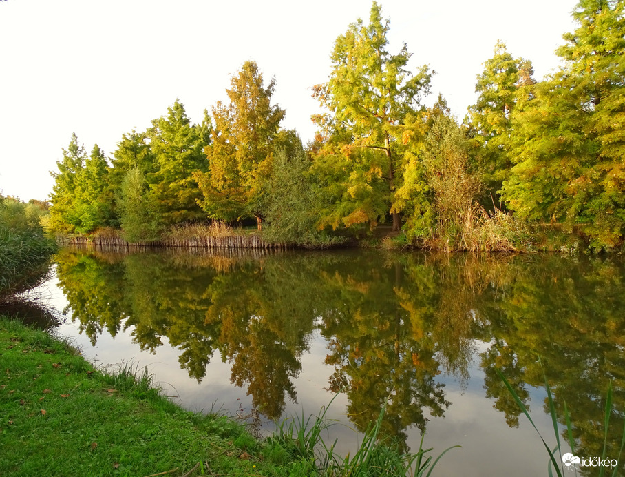 Színesedő természet