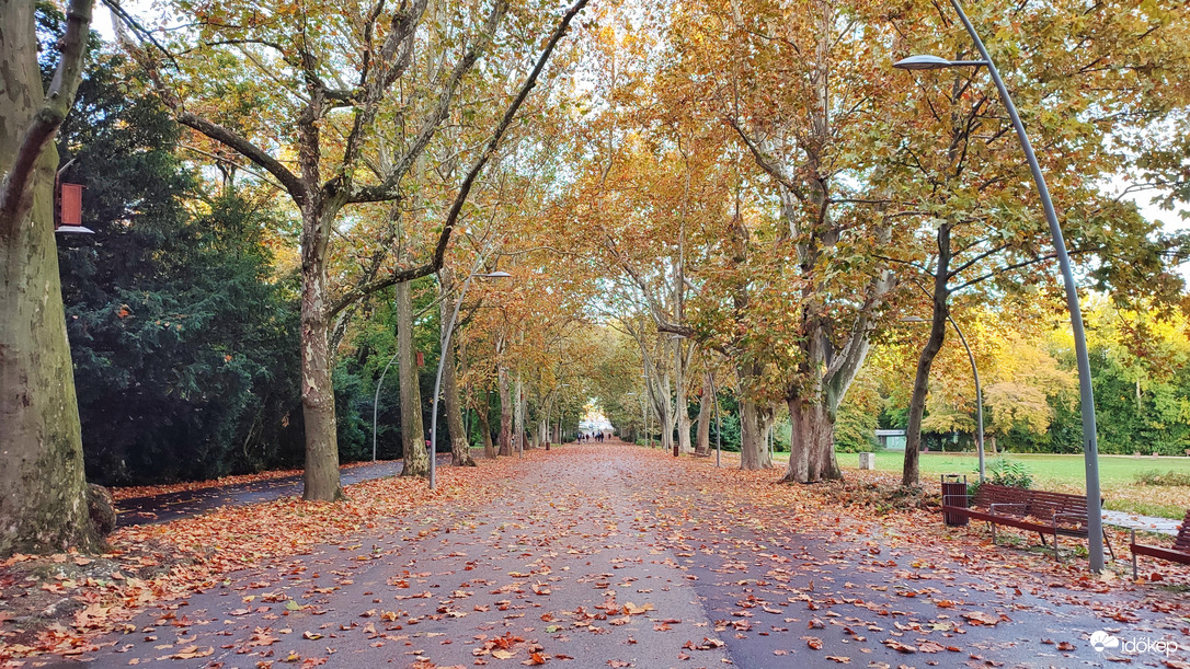 Erzsébet-liget, Szeged (Újszeged) 