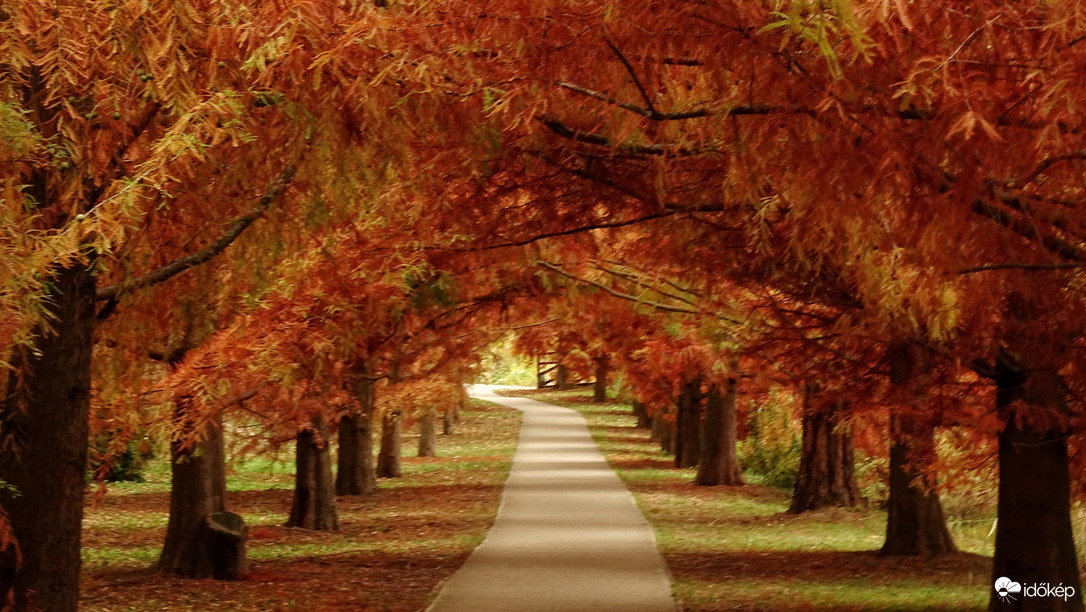 Az újszegedi Holt-Maros mesevilága 