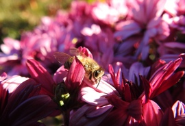 Nyári meleg, 22°C volt ma :)