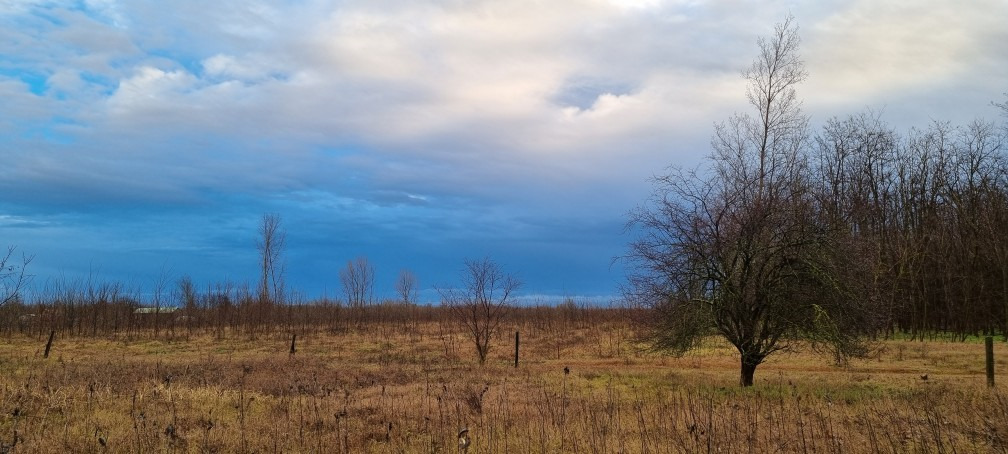 Pusztaszer