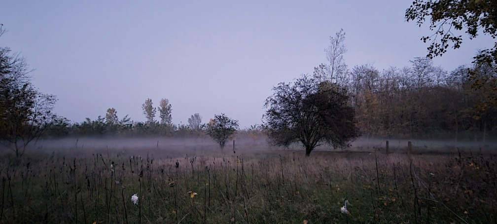 Pusztaszer