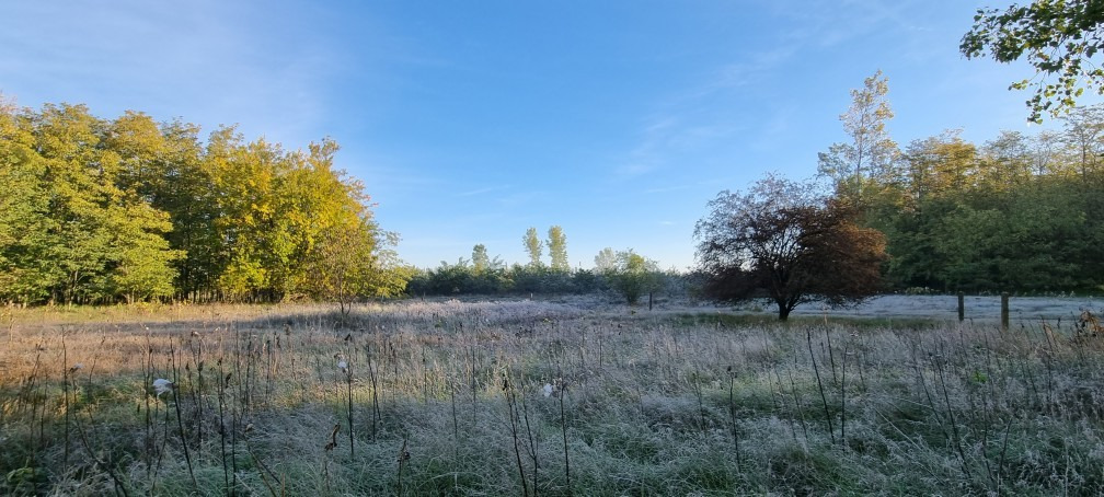 Pusztaszer