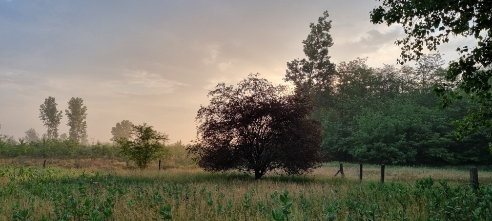 Pusztaszer