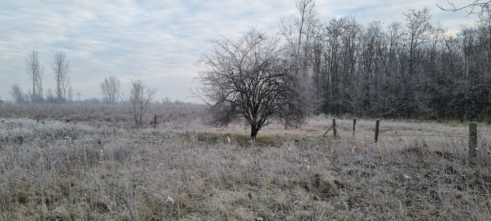 Pusztaszer