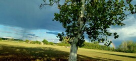 Pusztaszer