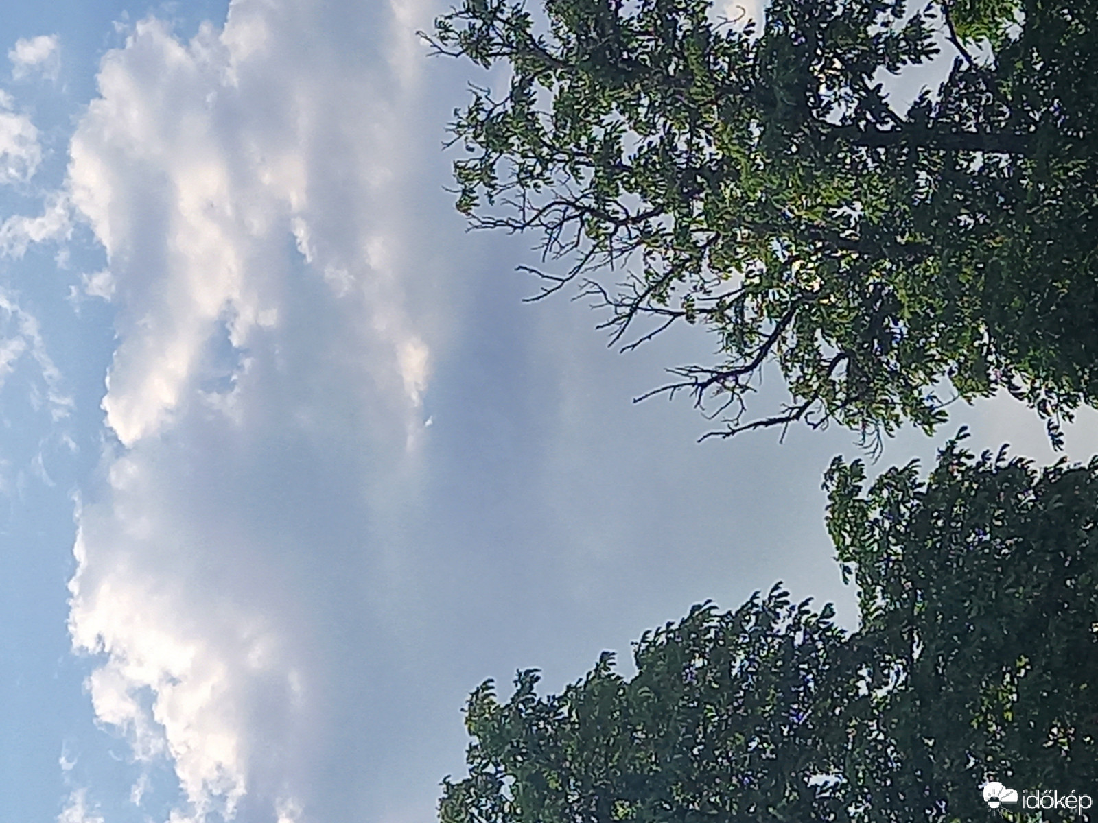 Észlelési fényképek