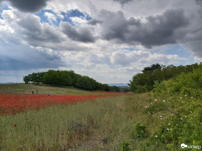 Észlelési fényképek