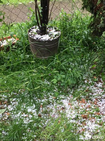 Észlelési fényképek