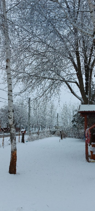 Tiszaalpár