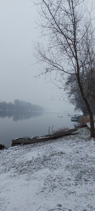 Tiszaalpár
