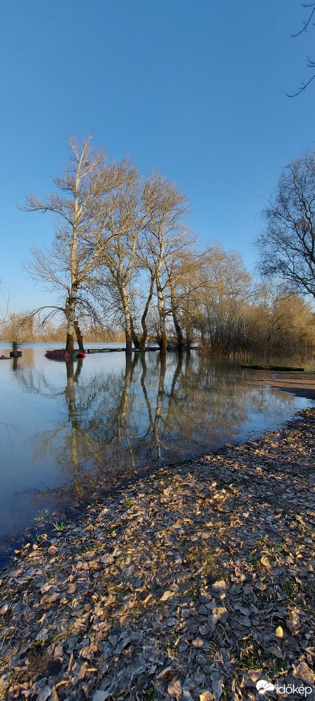 Tiszaalpár