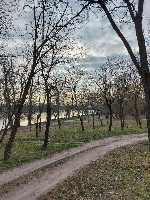 Tiszaalpár