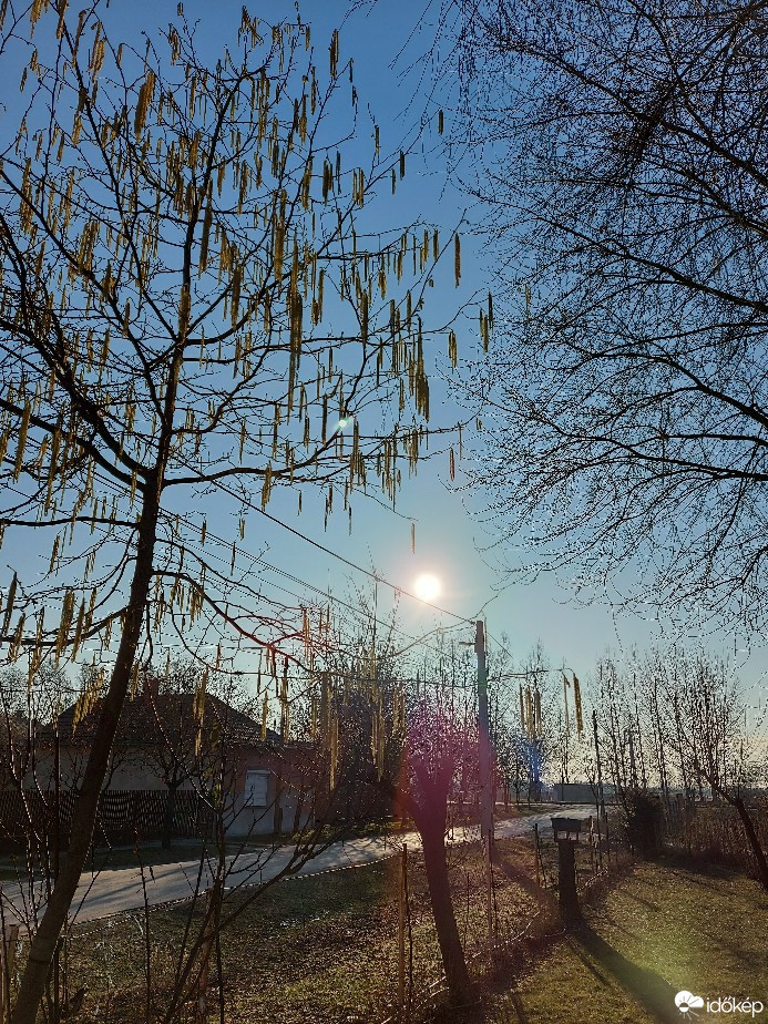 Tiszaalpár