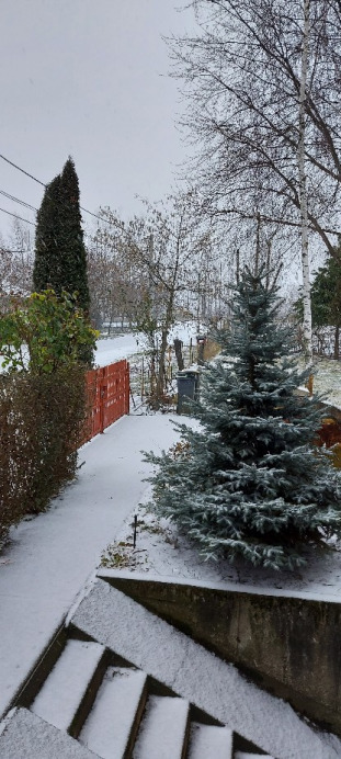 Tiszaalpár