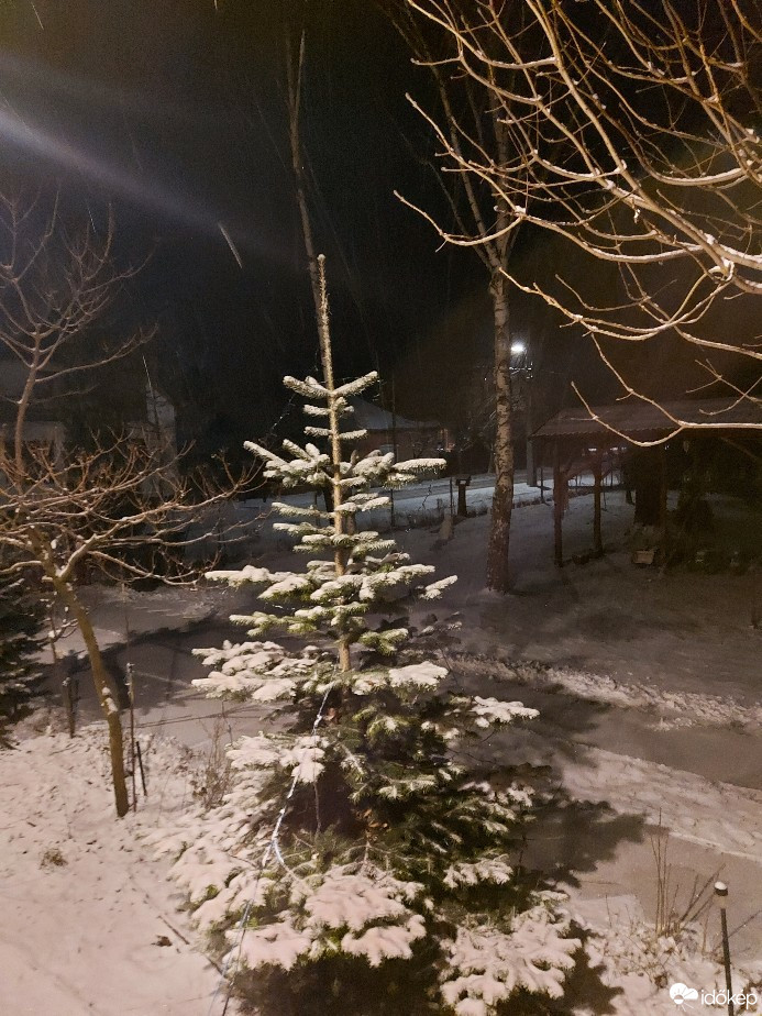 Tiszaalpár
