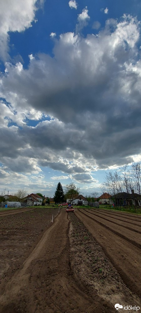 Tiszaalpár