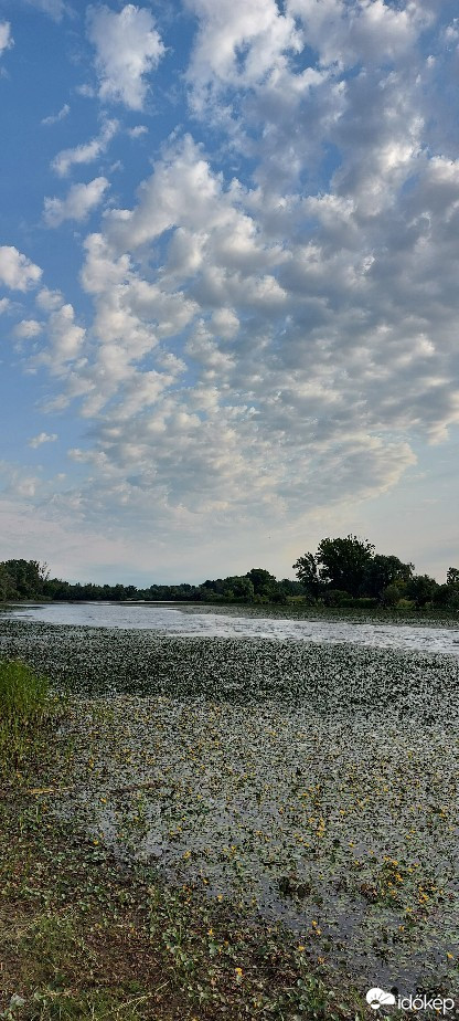 Tiszaalpár