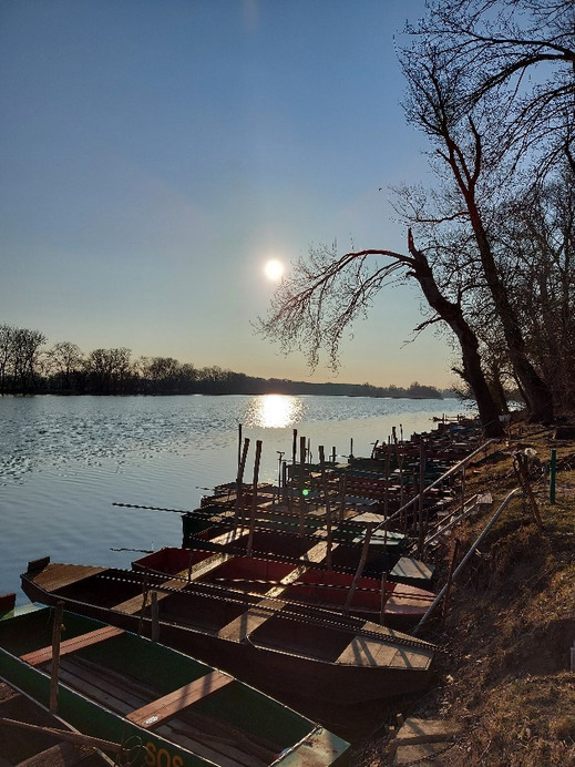 Tiszaalpár