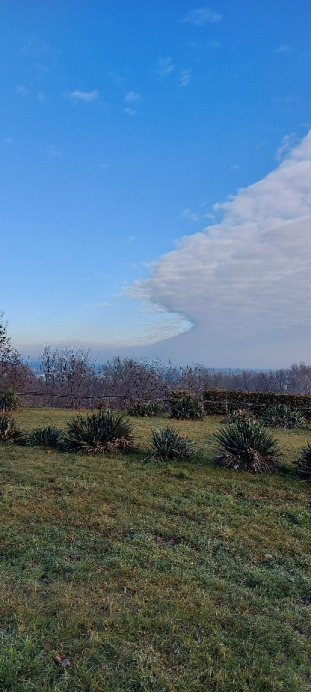 Tiszaalpár