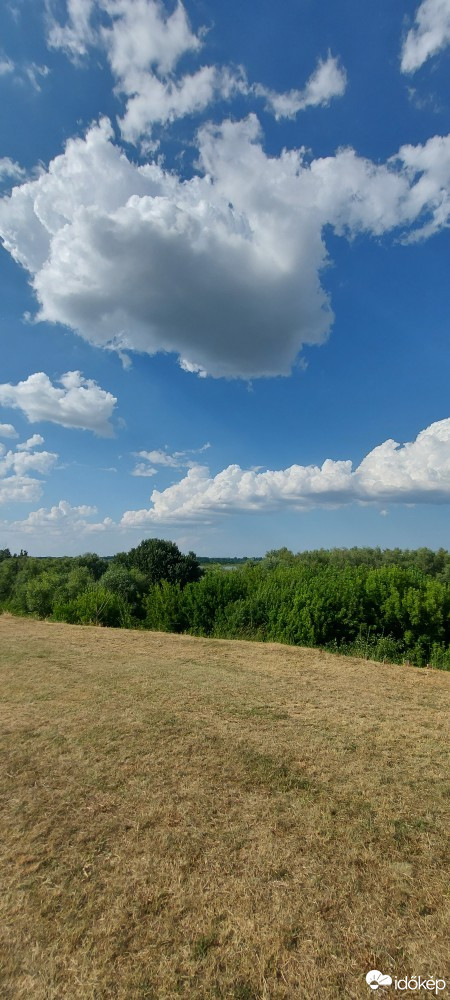 Tiszaalpár