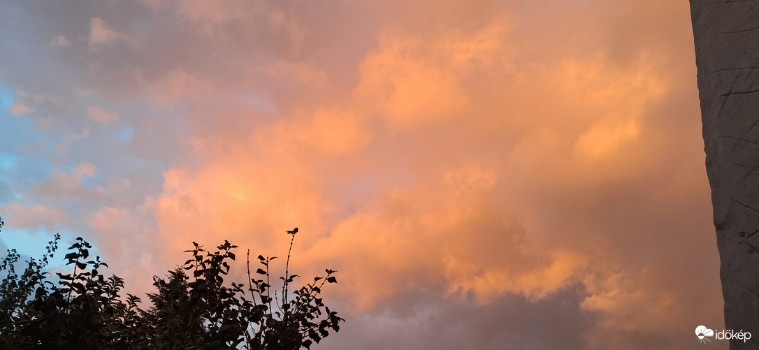 Homoksárga ritkaság