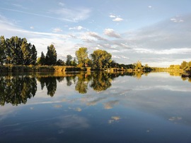 Reggel az Alcsi Holt-Tiszán 2025.09.15.