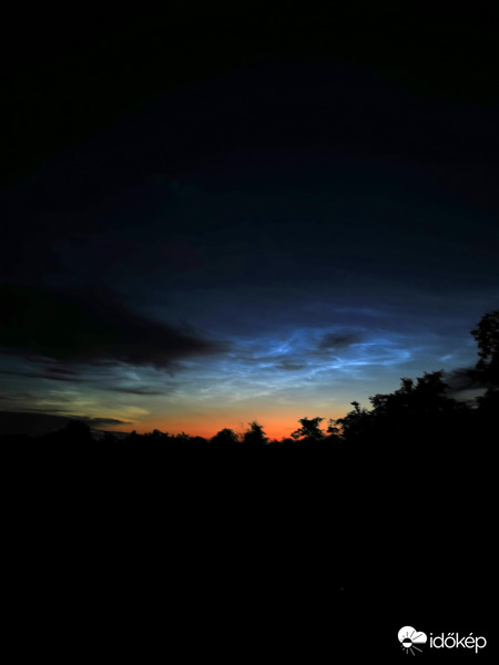 NLC