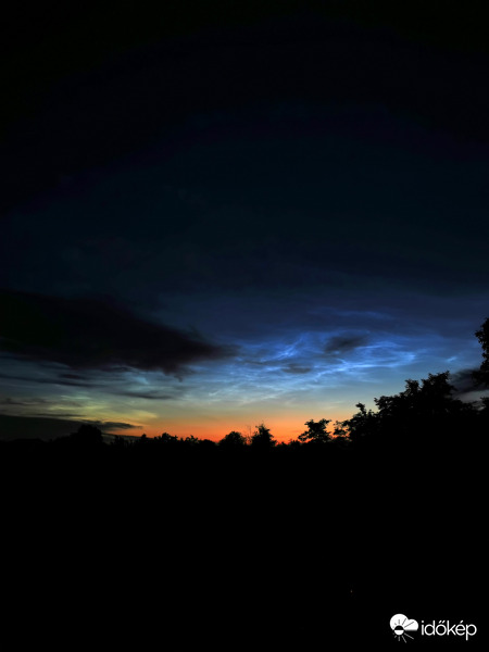 NLC 