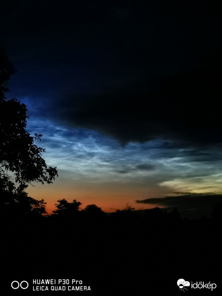 NLC 