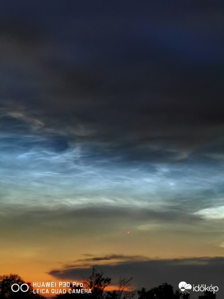 NLC 