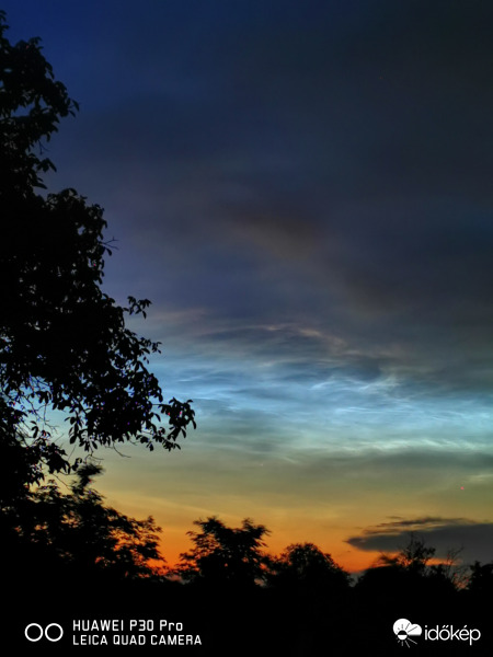 NLC 