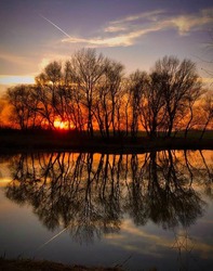 albertlaszlo fotója