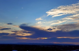 Kígyó