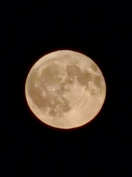 alexandra0531 fotója