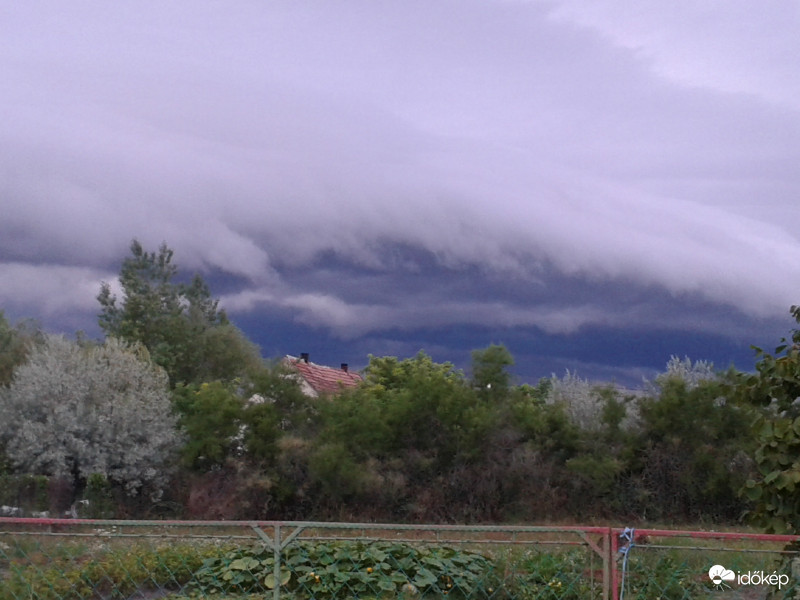 Észlelési fényképek