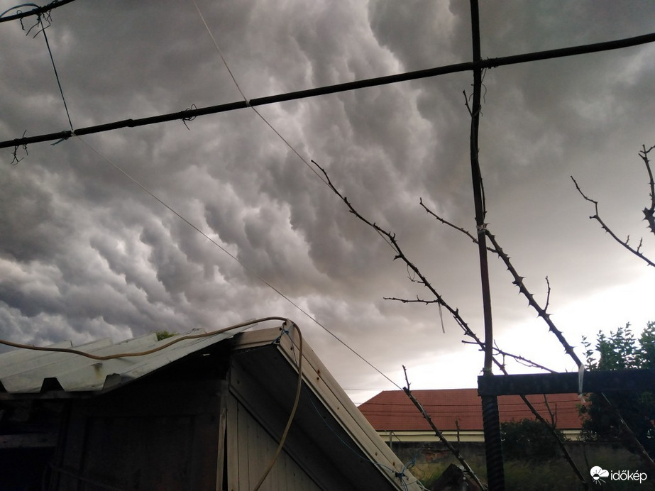 Észlelési fényképek