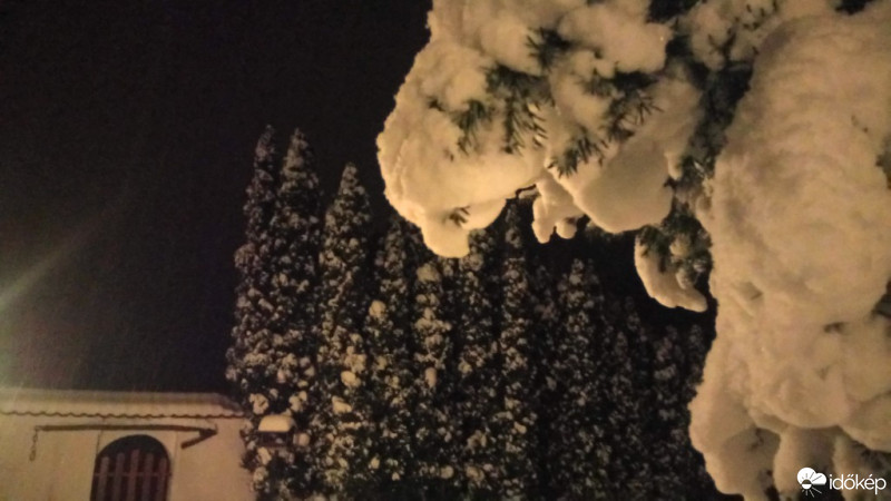 Észlelési fényképek