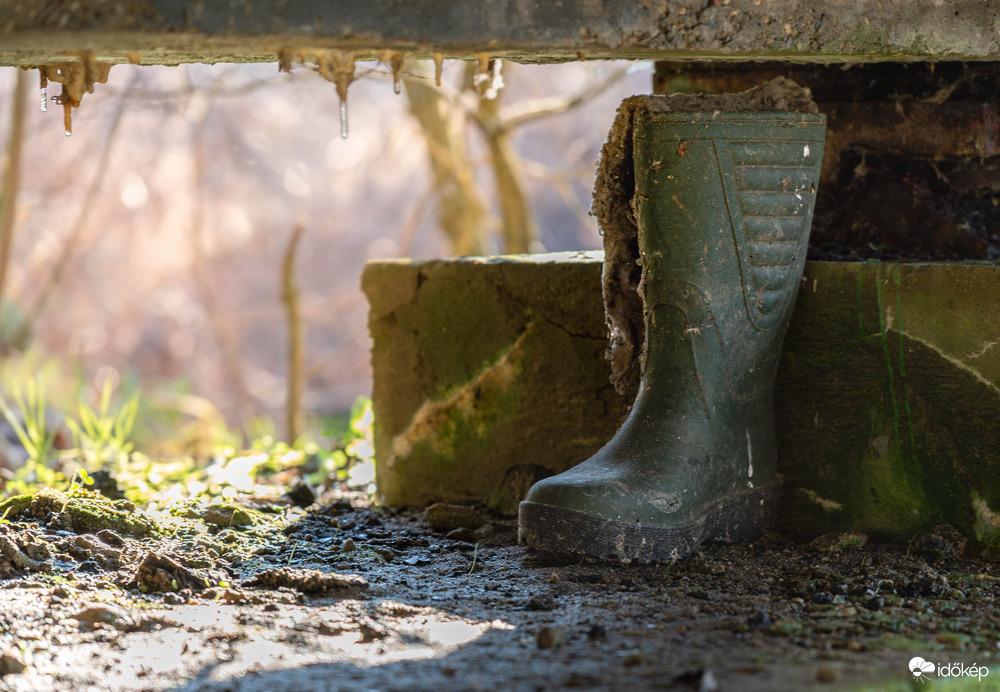 Jézuska biztos hozott újat 