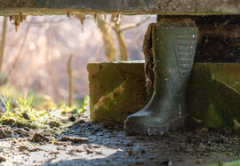 Jézuska biztos hozott újat 