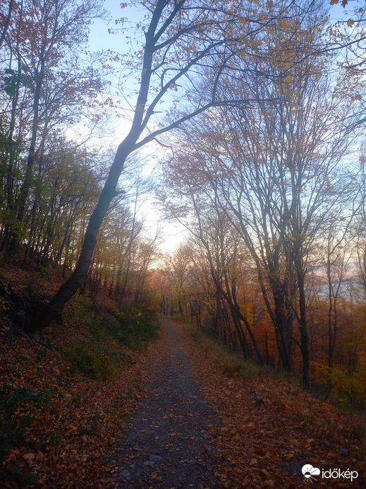 Őszi út