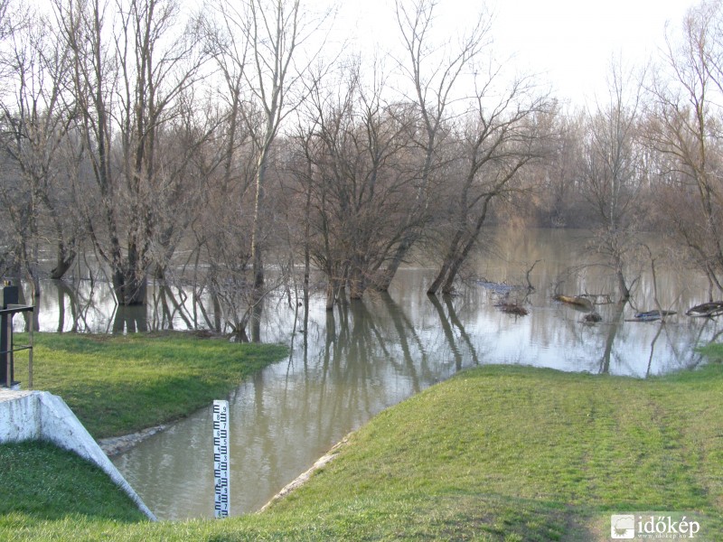 A Tisza Vezsenynél