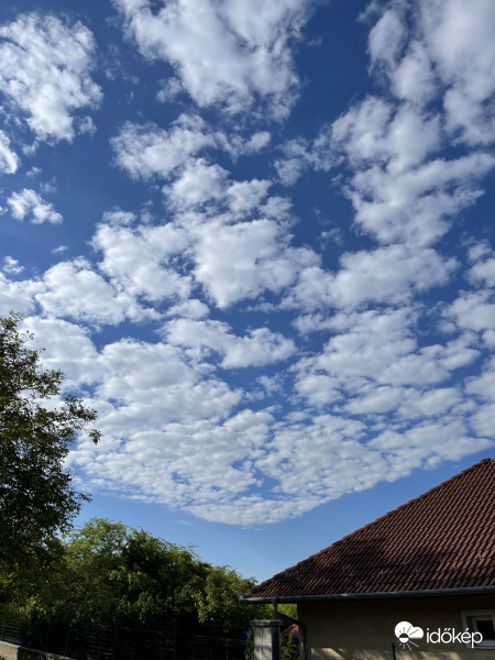 Altocumulus stratiformis translucidus perlucidus