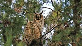 Párosan szép az élet!!!