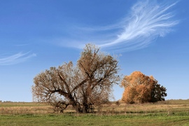 Püspökladány Ágota-puszta